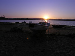 FOTO FENE